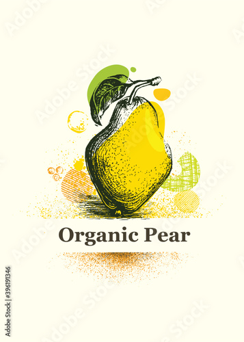 Organic Pear. Fresh Local Farm Fruit Artistic Illustration