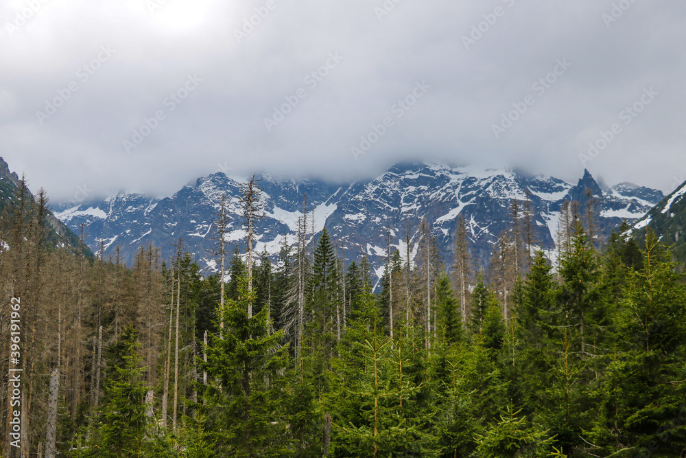 View of Tatra mounains.Tatra mountains in the morning. View of Tatra mounains.Tatra mountains in the morning.