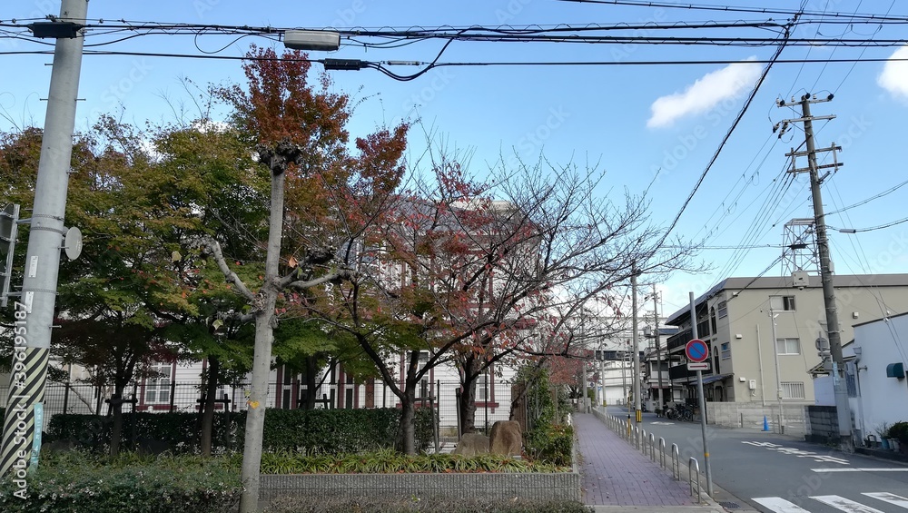 Obraz premium 蔵めぐり