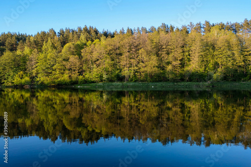 Beautiful river with a forest, the reflection of trees in the water, smooth calm surface of the water without waves.