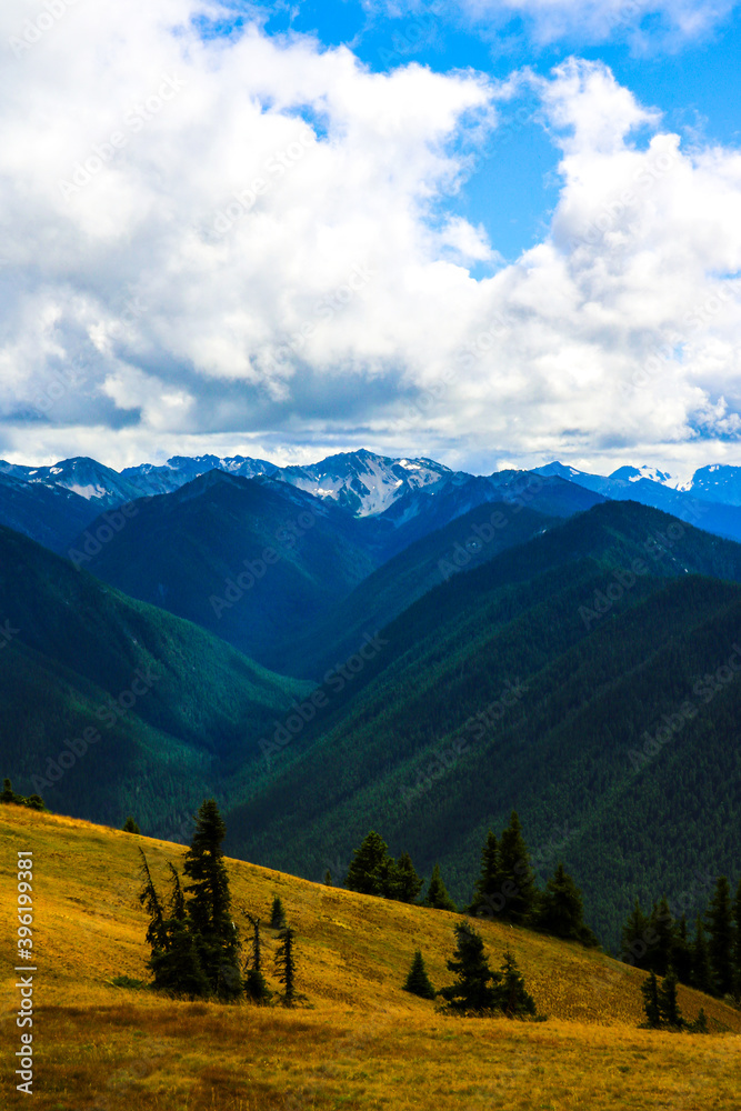 Cloudy landscape in mountains, Olympic National Park, Washington, USA.