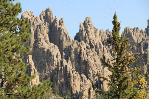 Tall rocks in Custer State Park, SD