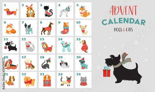Christmas advent calendar with dogs. Funny Xmas poster with puppies, dogs wearing winter clothes, Christmas accessories 