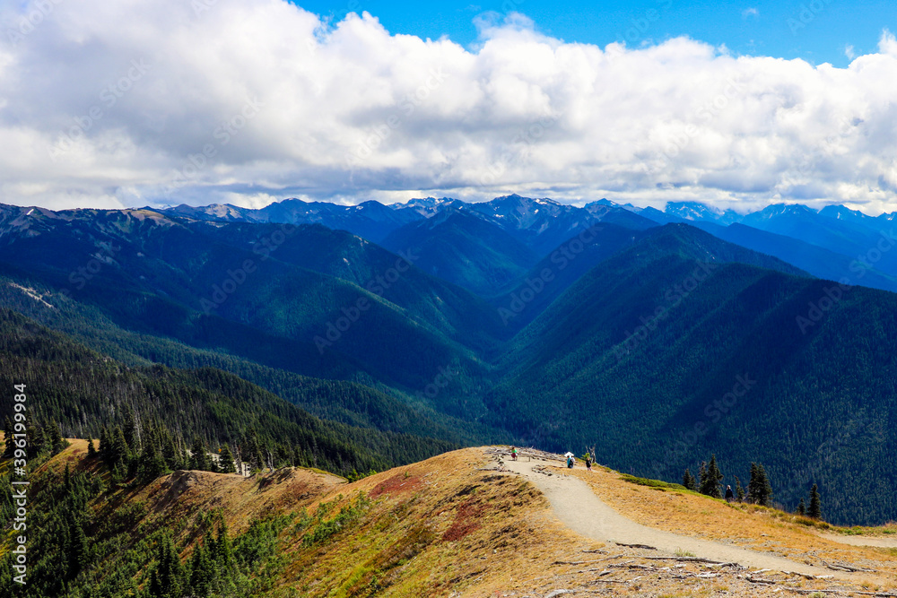 Beautiful view of the Olympic Mountain Range, Olympic National Park, Washington, USA.