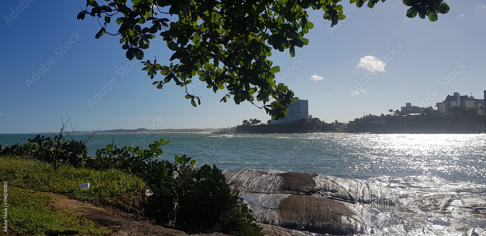 The ocean and buildings under a tree