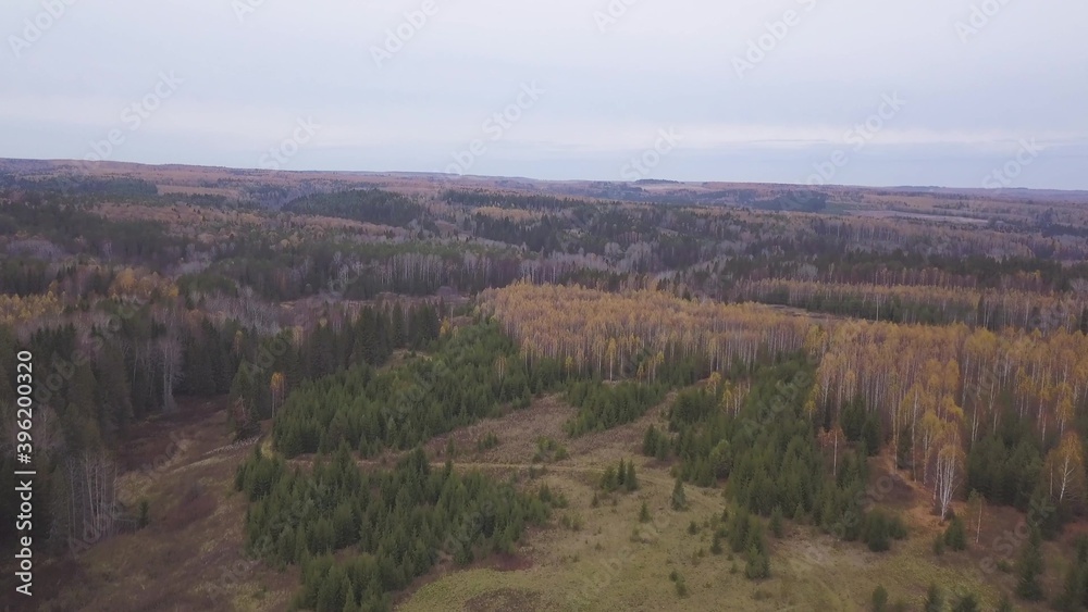 Wood and trees in autumn, aerial view, Canada. Clip. Helicopter view of an endless woodland with beautiful colors during fall season in Ontario, travel and nature concept.
