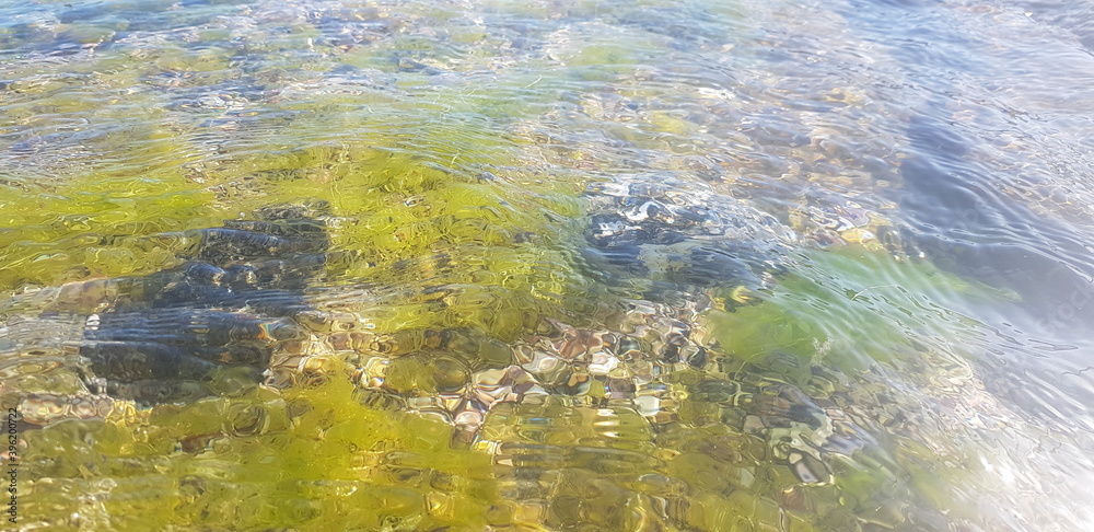 Underwater stone algae garden in the ocean