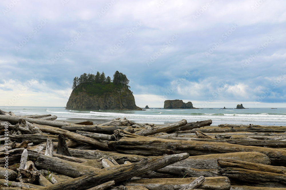 Landscape of Second Beach at Olympic National Park, Washington, USA.