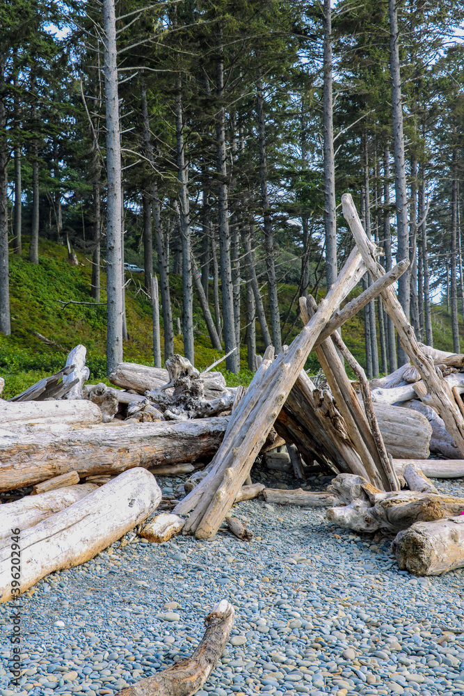 Beach landscape in Olympic National Park, Washington, USA.