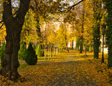 Yellow park in Poznan during autumn season.