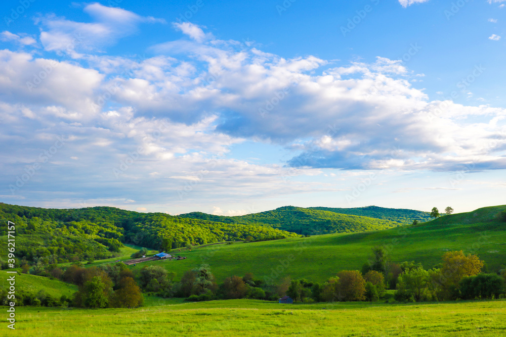 Scenic panoramic view of rolling countryside green farm fields with sheep, cow and green grass. Scenic panoramic view of rolling countryside green farm fields with sheep, cow and green grass.
