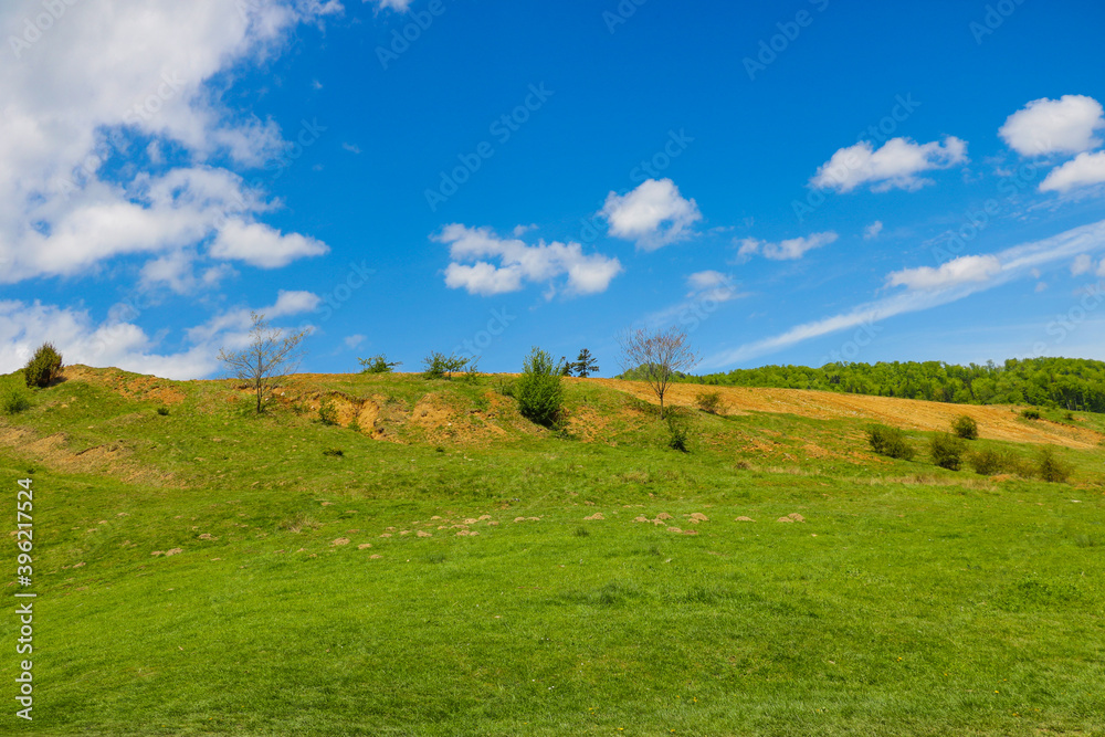 View of a green hill with trees, blue sky with white clouds. View of a green hill with trees, blue sky with white clouds.
