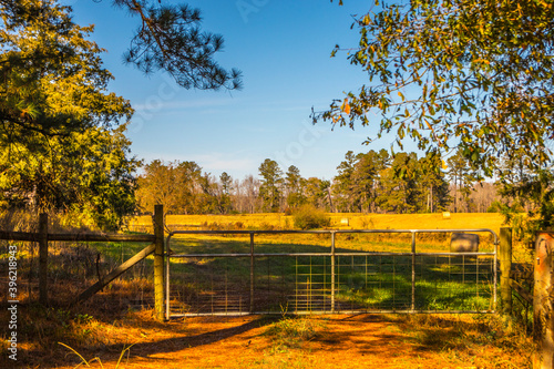 A locked gate that leads to farm land