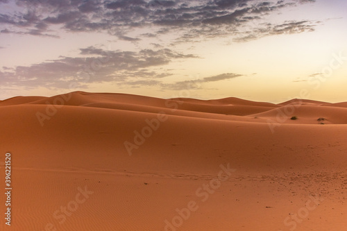Dawn in the dunes of the Erg Chebbi, Sahara Desert, Morocco © Stefano Zaccaria