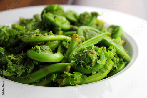 Freshly Harvested Fiddlehead Ferns