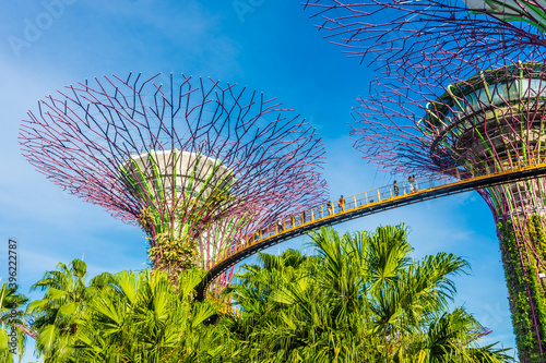 SINGAPORE  3 OCTOBER 2019  The Supertrees of Gardens by the bay