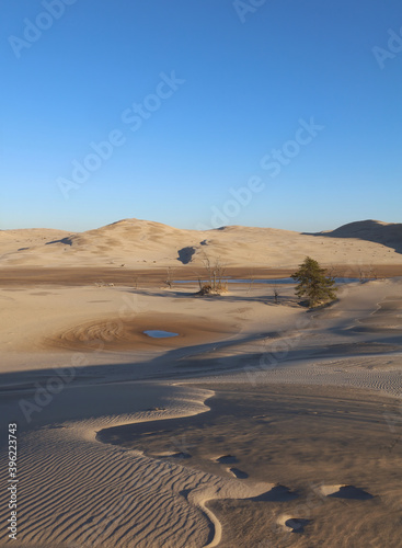 Fototapeta Naklejka Na Ścianę i Meble -  Sand dunes at Silver Lake in Michigan/ Oasis