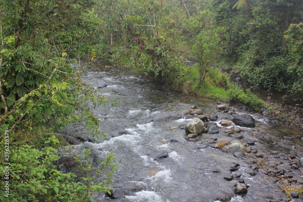 Mindo es una población en el norte del Ecuador y la única Parroquia del cantón San Miguel de Los Bancos en la provincia de Pichincha, a unos 80 km al noroeste de Quito. Mindo es una población en el norte del Ecuador y la única Parroquia del cantón San Miguel de Los Bancos en la provincia de Pichincha, a unos 80 km al noroeste de Quito.