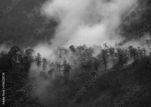 Morning fog on the mountainside