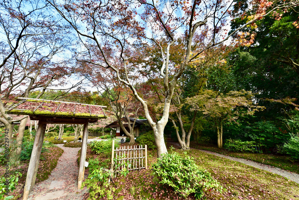 日本の紅葉と滝 日本の紅葉と滝