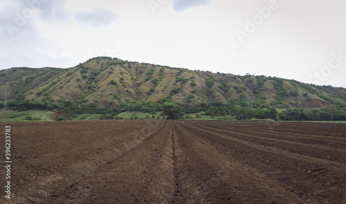 Image of a plowed field with furrows to sow a Tabasco pepper crop in Valle del Cauca Colombia.