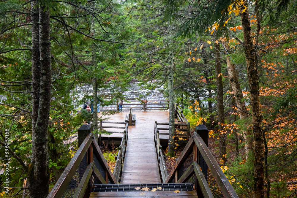 Wood stairs walkway in forest at Tahquamenon Falls State Park in Michigan. Fall colors Wood stairs walkway in forest at Tahquamenon Falls State Park in Michigan. Fall colors