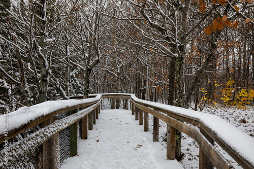 Wood walkway covered by snow at Porcupine Mountains Wilderness State Park in Michigan. Winter landscape © Daniel