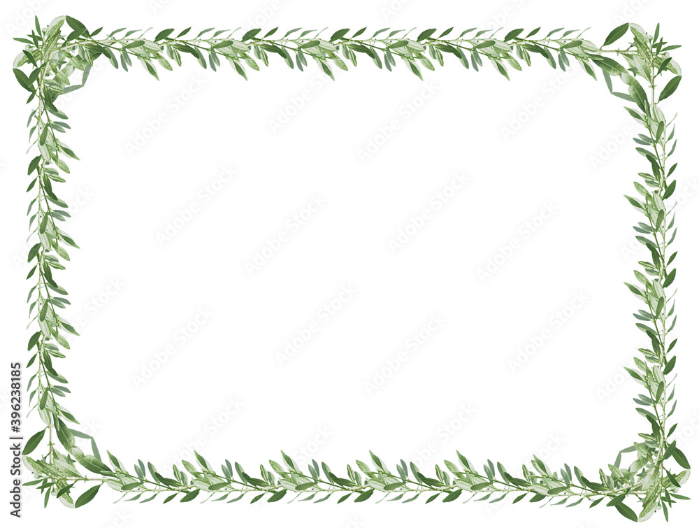 Fototapeta premium Cadre de rameaux d’olivier sur fond blanc 