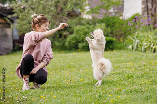 Fotografija Girl with Tibetan Spaniel dog on green lawn
