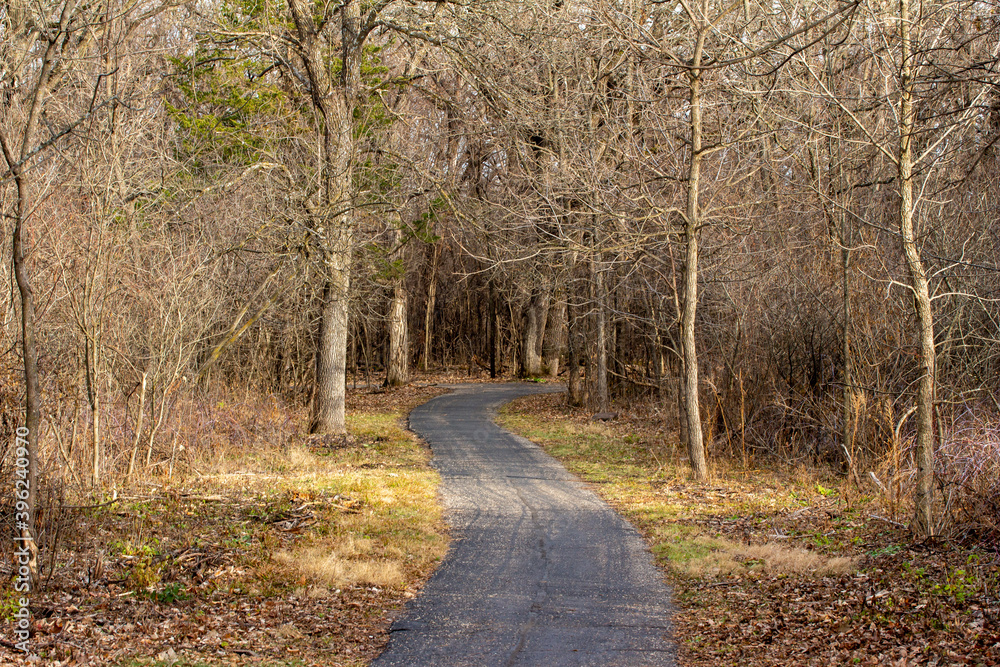 Idyllic autumn landscape of a wooded forest area with bare trees and leaf covered ground, with a winding paved walking trail Idyllic autumn landscape of a wooded forest area with bare trees and leaf covered ground, with a winding paved walking trail