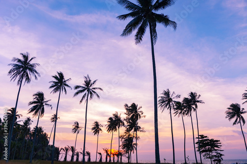 Beautiful sunset or sunrise with silhouette palm trees on tropical island Beautiful light of nature scenery background.