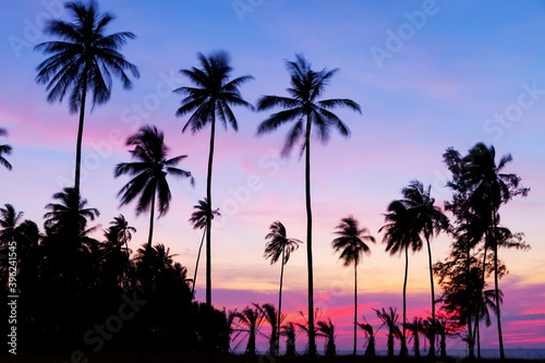 Beautiful sunset or sunrise with silhouette palm trees on tropical island Beautiful light of nature scenery background. © panya99