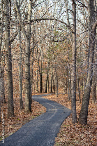 Idyllic autumn landscape of a wooded forest area with bare trees and leaf covered ground, with a winding paved walking trail