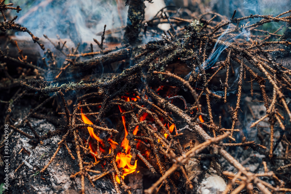 Burning branches and brushwood in fire close-up. Atmospheric warm background with orange flame of campfire and blue smoke. Beautiful full frame image of bonfire. Firewood burns in vivid flames.