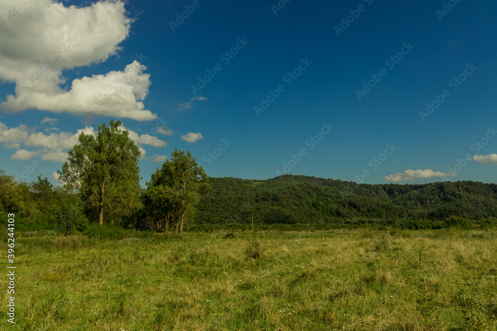 summer clear weather day green landscape meadow and trees in highland region of Ukraine in June month season time
