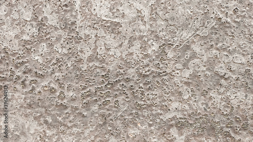 Фотография parget