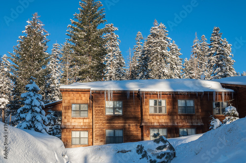 Lodge in winter forest