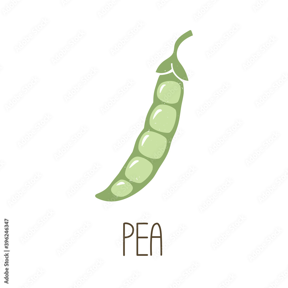 Cute caption pea pod icon isolated on white background. Colorful pictogram original design. Can be used for infographics, identity or decoration. Vector shabby hand drawn illustration Cute caption pea pod icon isolated on white background. Colorful pictogram original design. Can be used for infographics, identity or decoration. Vector shabby hand drawn illustration