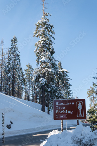 Sign to Sherman tree in Sequoia National Park
