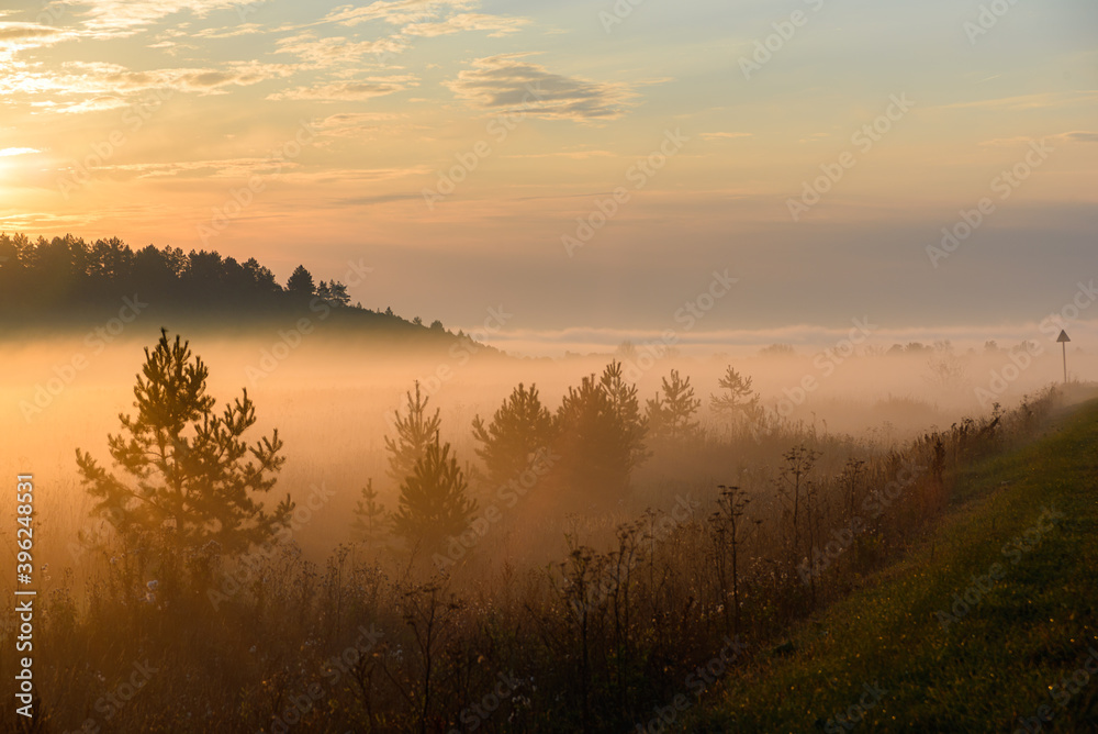 Sunrise, in the foreground the road passing through the field is covered with a thin layer of fog