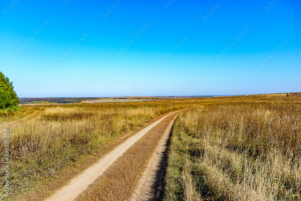 The dirt road goes into the distance through an autumn field against a clear blue sky