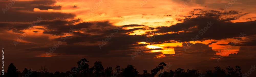 Beautiful sunset sky. Cloudscape. Golden sunset above silhouette tree. Panorama view of dark clouds and orange sky. Beauty in nature. Dramatic sunset sky. Heaven sky. Dusk and dawn concept.