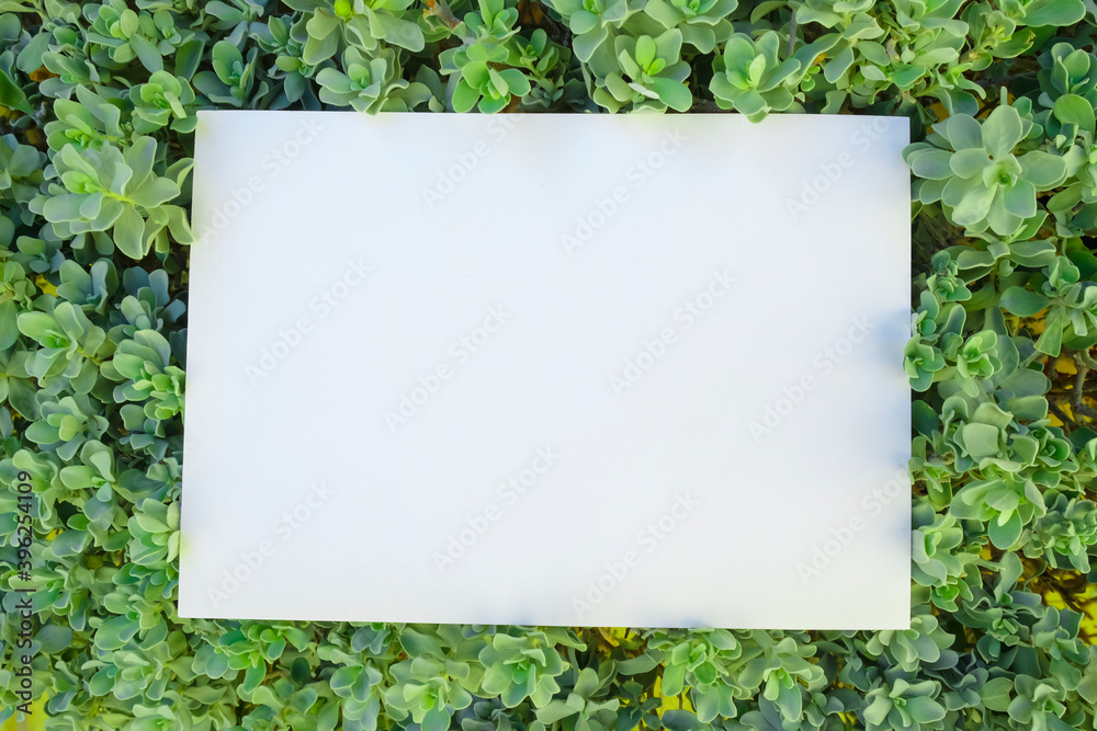 Creative layout with green leaves and copy space card note. Nature concept, flat lay, top view. Creative layout with green leaves and copy space card note. Nature concept, flat lay, top view.