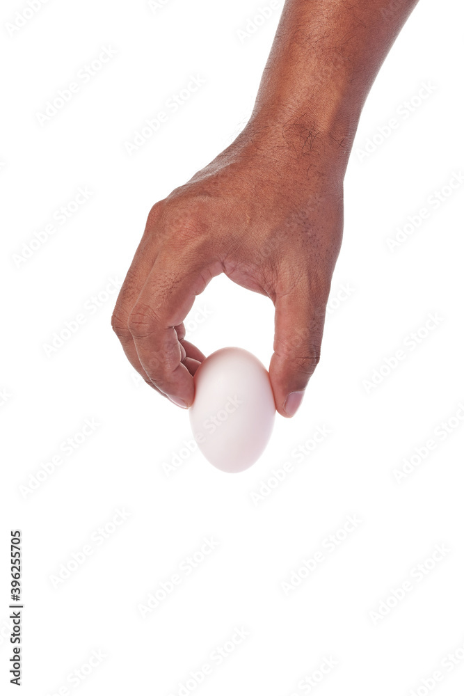 white egg in hand on white background white egg in hand on white background