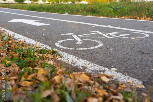 Wallpaper Mural Bike path in the autumn Park. A symbol of cycle paths on the pavement Torontodigital.ca