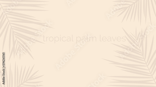 Vector shadow from tropical palm leaves on the white floor. Workplace and relaxation on the beach. Sail champagne color
