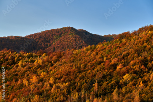 Colorful forests on the mountains