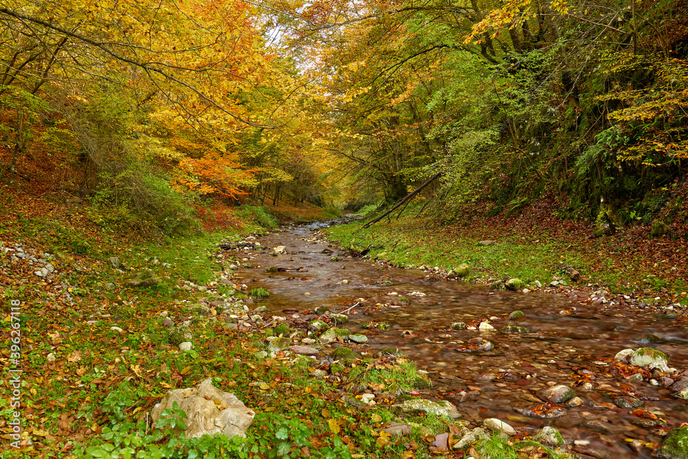 Colorful autumnal landscape of a river in the forest Colorful autumnal landscape of a river in the forest