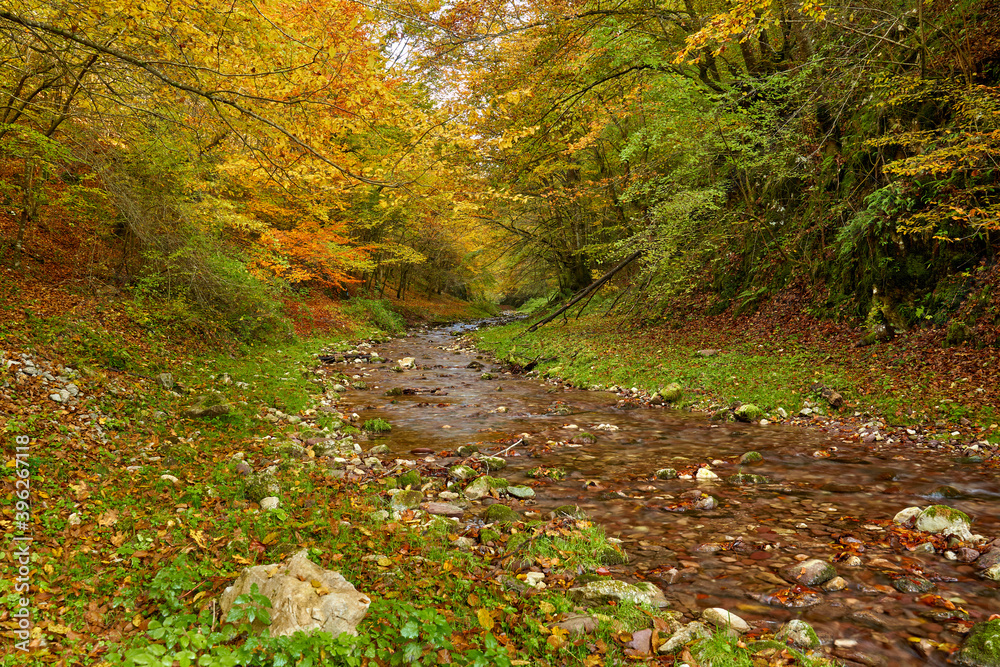 Colorful autumnal landscape of a river in the forest