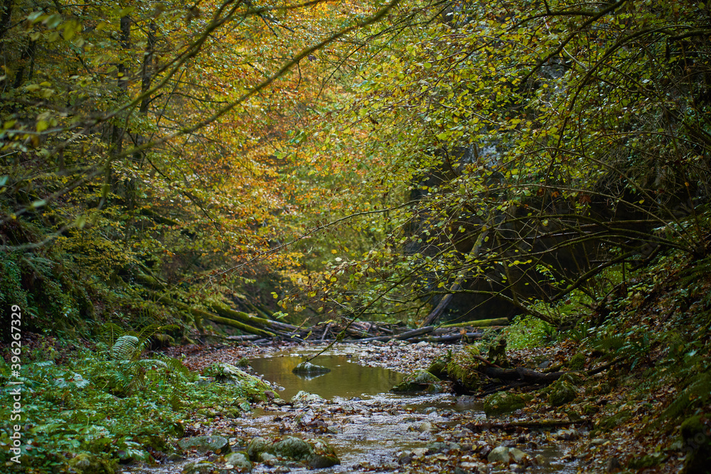 Colorful autumnal landscape of a river in the forest Colorful autumnal landscape of a river in the forest